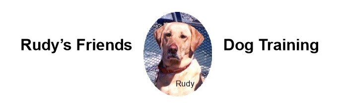 Rudy’s Friends Dog Training